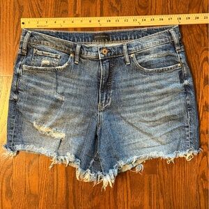 Silver Jeans Denim Blue Women's Shorts